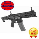 【エントリーでポイント最大10倍】G&G: 電動ガン ARP 556 （EGC-ARP-556-BNB-NCS） 【あす楽】