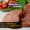 島どうふソーセージ　アーサー入り　100g｜アーサー｜沖縄｜惣菜［食べ物＞お肉＞ソーセージ］