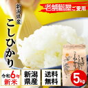 令和5年産 新米 新潟県産 コシヒカリ 5kg 老舗江戸前鮨愛用 米 ポイント消化 特A 送料無料 (沖縄/九州/北海道除く) 有機肥料 産地直送 産直 農家直送 おいしい 安心 発送日当日精米 天屋商店