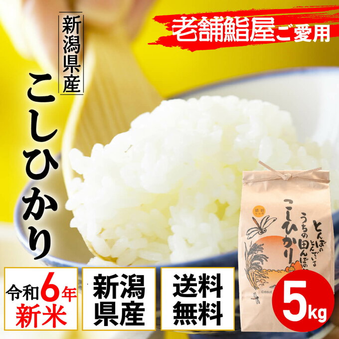 令和4年産 新潟県産 コシヒカリ 5kg 老舗江戸前鮨愛用 米 ポイント消化 特A ...