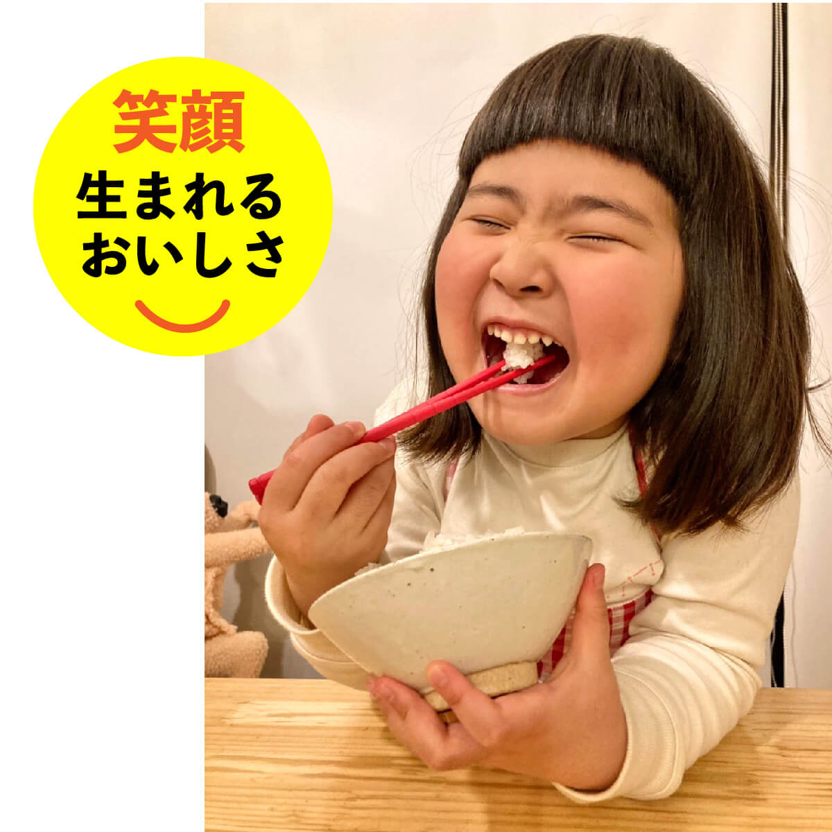 新潟 コシヒカリ 2kg 令和2年産 老舗江戸前鮨愛用 米 ポイント消化 特A 送料無料 冷蔵庫にしまえる 産地直送 一人暮らし 二人暮らし 少量 当日 精米 虫除け 防虫 おいしい 安心 令和2年産 天屋商店