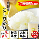 新米 新潟県産 コシヒカリ 令和7年産 900g 6合 老舗江戸前鮨愛用 米 ポイント消化 送料無料 真空パック 有機肥料 チャック付き袋 お試し 冷蔵庫にしまえる 農家直送 高級 一人暮らし 少量 おいしい お取り寄せ 防虫 発送日精米 天屋商店