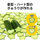 mokku-store:10001741のサンプル画像3