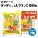 花ごころ ぎゅぎゅっとビタミンC レモン ミカン 柑橘の肥料 500g 2袋セット