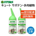 ハイポネックス キュート サボテン 多肉植物 活力剤 2個セット ミネラル 浸透剤 そのまま使える 150ml HYPONeX