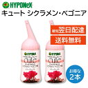 ハイポネックス キュート シクラメン ベゴニア用 2本セット 肥料 ミネラル 浸透剤 そのまま使える つぎつぎと花を咲かせる 150ml HYPONeX