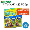 マグァンプK 大粒 500g 2袋セット マガンプ ハイポネックス 土に混ぜるだけ 植え替え 植え付け 肥料 元肥 成長促進 2年持続 草花 鉢花 野菜 観葉植物 シンビジューム 洋ラン セントポーリア 花木 果樹 芝生 庭木 エビネ 山野草 グランドカバー など HYPONeX
