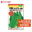 いんげん 種 スジなしで甘味が強い 寒さに強い 家庭菜園 畑 平莢インゲン 穂高 野菜の種 カネコ種苗