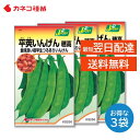 いんげん 種 3袋セット スジなしで甘味が強い 寒さに強い 家庭菜園 畑 平莢インゲン 穂高 野菜の種 カネコ種苗