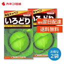 キャベツ 種 2袋セット 栽培しやすい 病気に強い 早生 年内どり 家庭菜園 畑 プランター 業務用 カネコ種苗