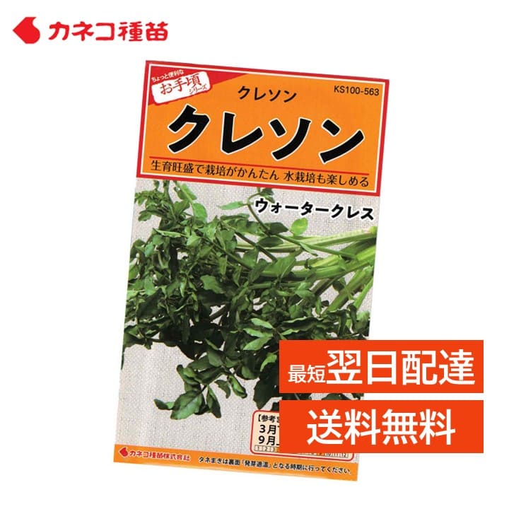 クレソン 種 家庭菜園 畑 プランター 栽培が簡単 水栽培も可能 業務用 手軽に作れる ハーブ サラダ 肉料理 付け合わせ におすすめ ウォータークレス 生産地 オランダ