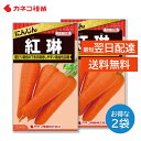 ニンジン 種 2袋セット 栽培しやすい 晩抽性品種 耐病性に優れる 紅琳 野菜の種 カネコ種苗