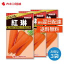 ニンジン 種 3袋セット 栽培しやすい 晩抽性品種 耐病性に優れる 紅琳 野菜の種 カネコ種苗
