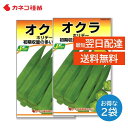 オクラ 種 2袋セット 早生 扱いやすい 初期収穫量が多い 家庭菜園 野菜の種 畑 カネコ種苗