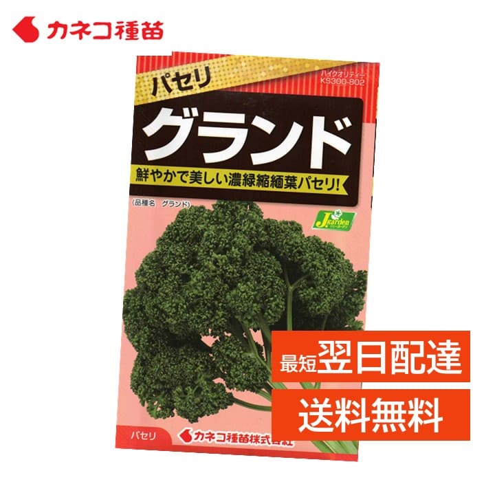 パセリ 種 グランド 家庭菜園 畑 プランター 業務用 手軽に作れる 手間いらず 耐病性 耐寒性 強い 太茎 伸張性が良い