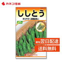 ししとう 種 早生 甘く風味が良い たくさん獲れる 家庭菜園 野菜の種 畑 カネコ種苗