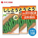 ししとう 種 3袋セット 早生 甘く風味が良い たくさん獲れる 家庭菜園 野菜の種 畑 カネコ種苗