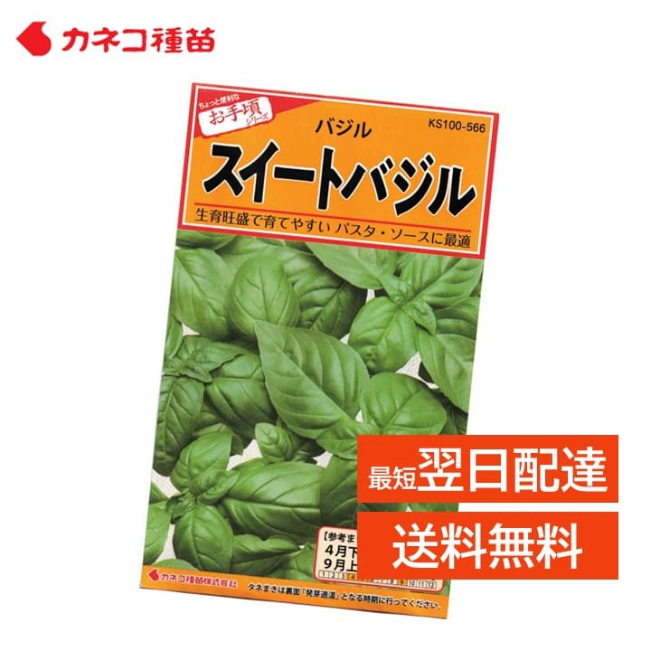 バジル 種 スイートバジル 家庭菜園 畑 プランター 業務用 手軽に作れる 手間いらず 日本の気候に適した品種 香味野菜 種 スパイシーでマイルドな香り イタリア料理 トマト チーズ ニンニクを使った料理におすすめ