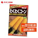 トウモロコシ 種 スイートコーン 濃い甘さ 粒皮がやわらかい 倒伏に強い 作りやすい 早生 家庭菜園 畑 プランター 業務用 わくわくコーン カネコ種苗