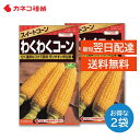 トウモロコシ 種 2袋セット スイートコーン 濃い甘さ 粒皮がやわらかい 倒伏に強い 作りやすい 早生 家庭菜園 畑 プランター 業務用 わくわくコーン カネコ...