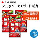 ベニカXガード 粒剤 550g 3袋セット 殺虫剤 殺菌剤 害虫駆除 病気 予防 バラ 多肉 野菜 観葉植物 アブラムシ コガネムシ うどんこ病 黒星病 灰色か...