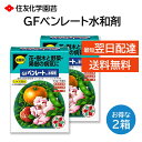 GF ベンレート水和剤 0.5g 10袋 2箱セット 殺菌剤 予防 治療 花 樹木 野菜 果樹 住友化学園芸