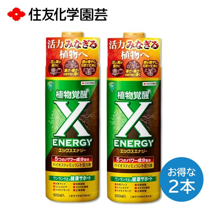 åʥ 600ml 2ܥå ϱ 饢å ȥ쥹 ߥʥ  ߥͥ ڼ  տʪ ...
