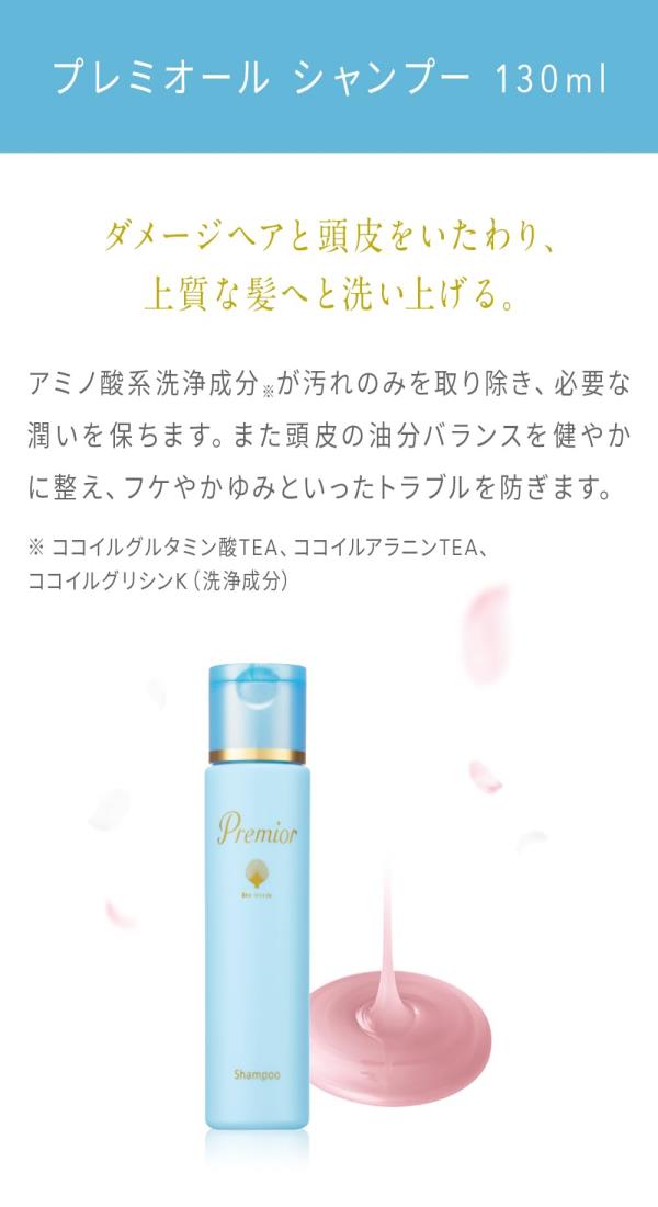 模型Human Model 女性骨盤モデル大腿骨付き A62 巾30×奥30×高さ20cm IFA-62