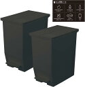 リス(RISU) ソロウ ゴミ箱 ふた付き 45L ブラック ペダルオープン 両開き 2個セット 分別シール付き 抗菌 加工 日本製 おしゃれ キッチン 分別 スリム キャスター付き ダストボックス カップボード GZBZ202