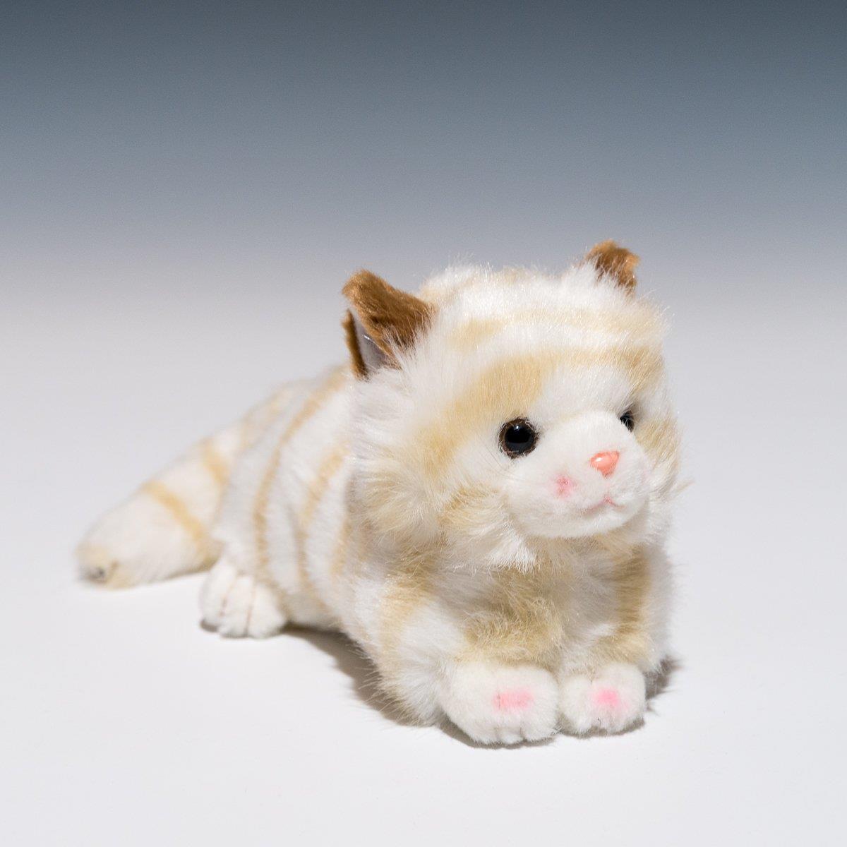 たけのこ プチどりーむ ミニ A ネコベージュ ぬいぐるみ 95007
