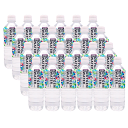 OXYGEN WATER 500ml×24本入り【送料無料】