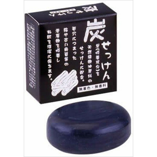 Other - 地の塩社 ちのしお 炭せっけん 100g