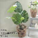 TOWK トーク PEPP ペタル トール L ベージュ