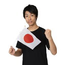 応援 グッズ サポーター グッズ 日の丸 日本 国旗 小