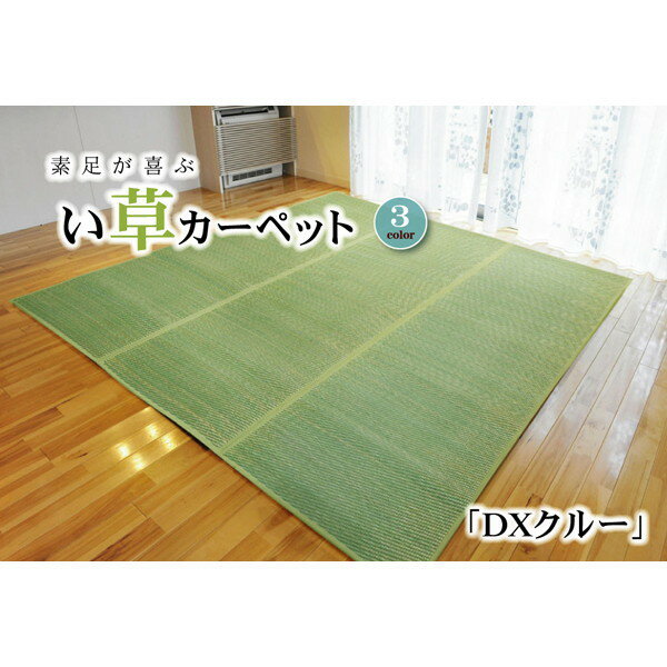 IKEHIKO イケヒコ 純国産 い草 花ござ カーペット DX クルー 本間4.5畳 286.5×286cm BL：ブルー