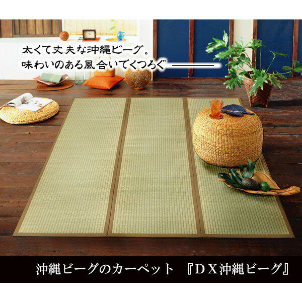 楽天市場】イケヒコ 沖縄ビーグの通販