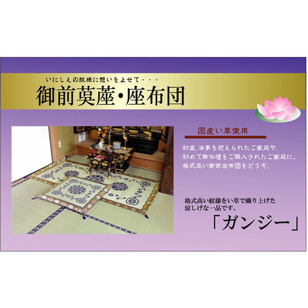 IKEHIKO イケヒコ 純国産 袋織 い草 仏前 御前 ござ ガンジー 88×180cm
