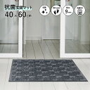 玄関マット 抗菌マット 40×60cm シルバーブラック