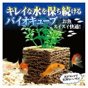 お魚天国 バイオキューブ