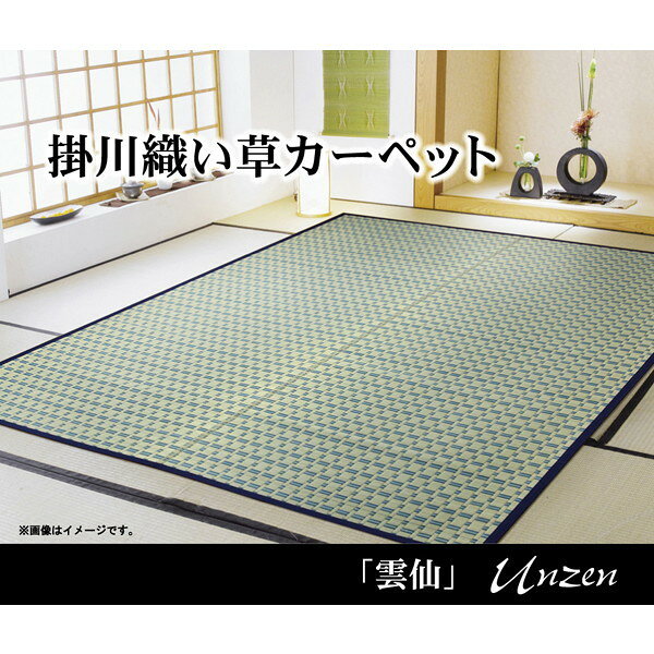 IKEHIKO イケヒコ 雲仙 掛川織 い草 カーペット 本間2畳 191×191cm
