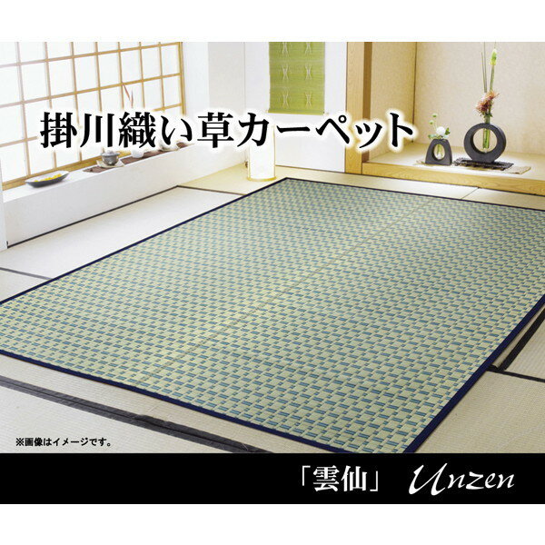 IKEHIKO イケヒコ 雲仙 掛川織 い草 カーペット 本間3畳 191×286cm
