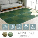 IKEHIKO イケヒコ NDXルネ い草 ラグ カーペット 本間8畳 382×382cm
