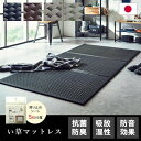 IKEHIKO イケヒコ フレア 国産 い草 マットレス 80×210cm セミシングル