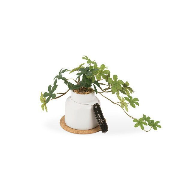 KISHIMA キシマ ECLIA エクリア 消臭 アーティフィシャルグリーン Sサイズ シュガーバイン ×6個セット KH-61250