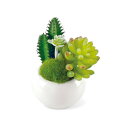 KISHIMA キシマ SUCCULENT REFRERIUM サキュレント リフレリウム 消臭 アーティフィシャルグリーン ×6個セット KH-60983(4)