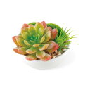 KISHIMA キシマ SUCCULENT REFRERIUM サキュレント リフレリウム 消臭 アーティフィシャルグリーン ×6個セット KH-60988