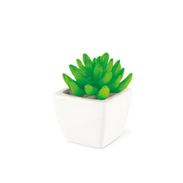 KISHIMA キシマ SUCCULENT PLANTS サキュレント プランツ 消臭 アーティフィシャルグリーン Lサイズ Aタイプ ×6個セット KH-60842