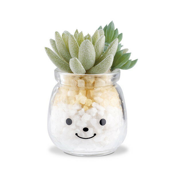 KISHIMA キシマ FAMILLE ファミーユ 消臭 アーティフィシャルグリーン S エミー ×6個セット KH-61159