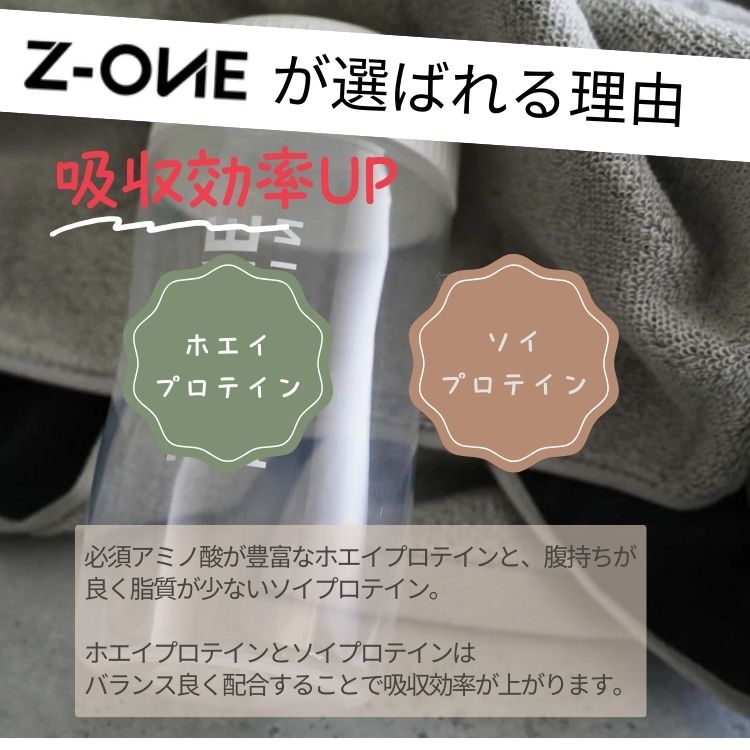 ゾーン プロテイン 人工甘味料不使用 ホエイ ソイ あした葉 バナナチャイ 750g　ZO...