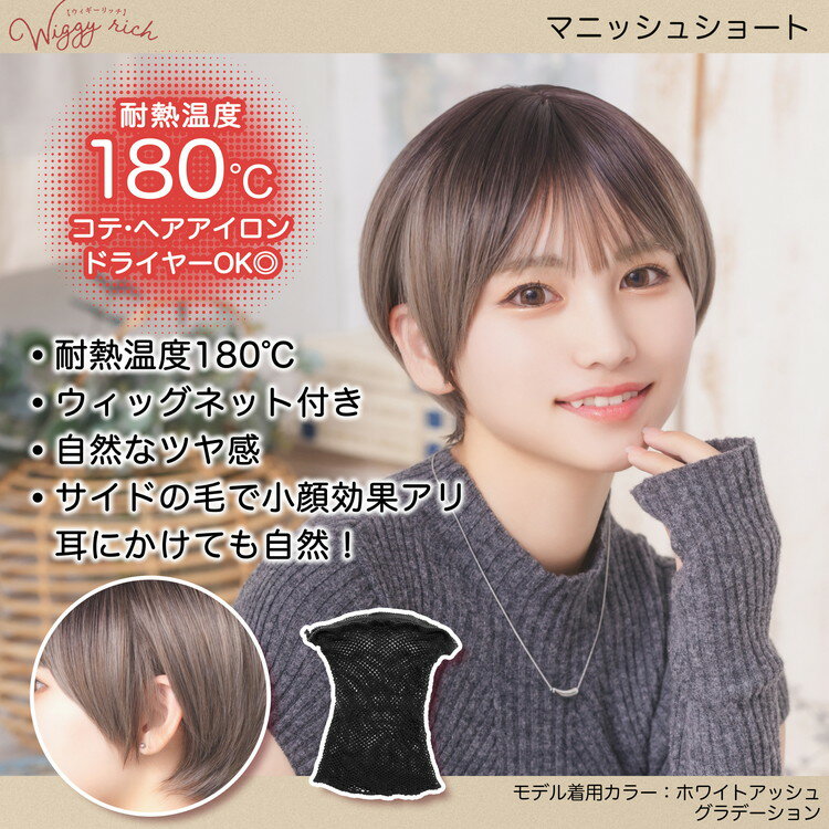 （同梱不可） プリシラ 男性用5分ウィッグ レイヤーショート 耐熱 ダークブラウン GB-22-TDB レイヤーがたっぷり入った軽いショートスタイル